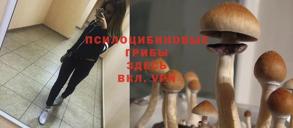 прущая мука Сатка