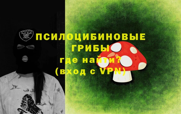 индика Сосновый Бор