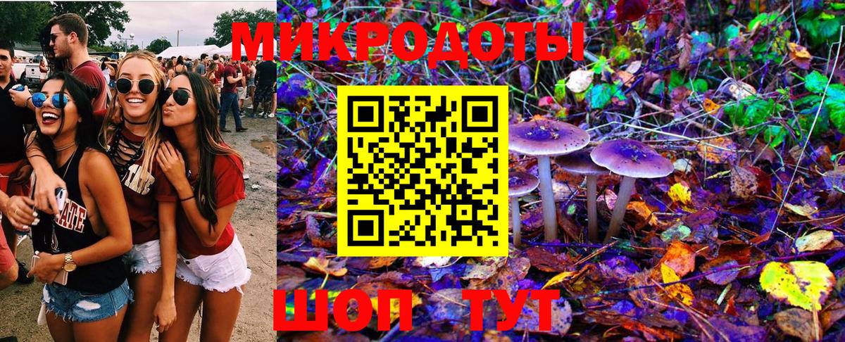 Псилоцибиновые грибы GOLDEN TEACHER  Бугуруслан  Галлюциногенные грибы мицелий 